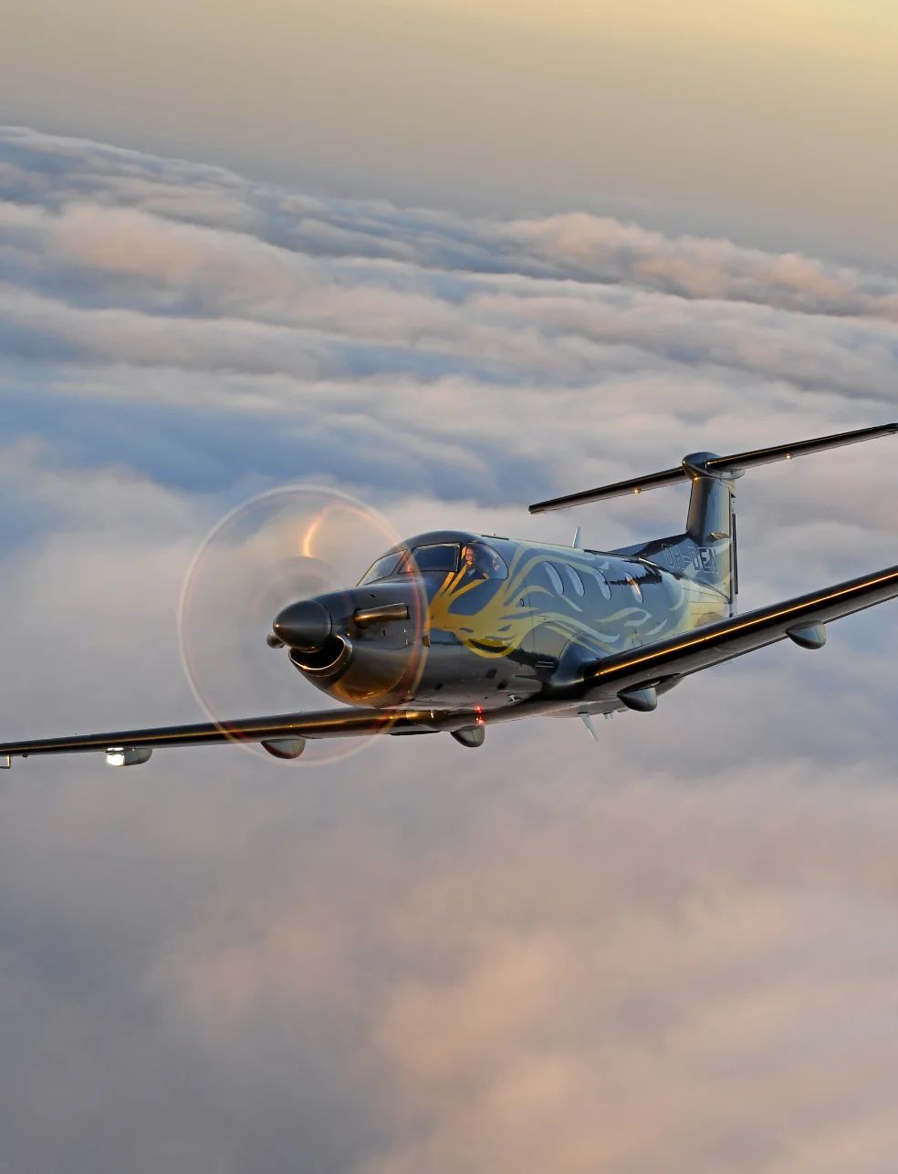 pc-12-ngx