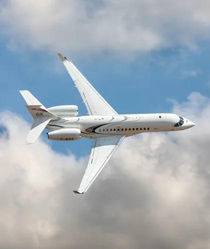 falcon-6x-card