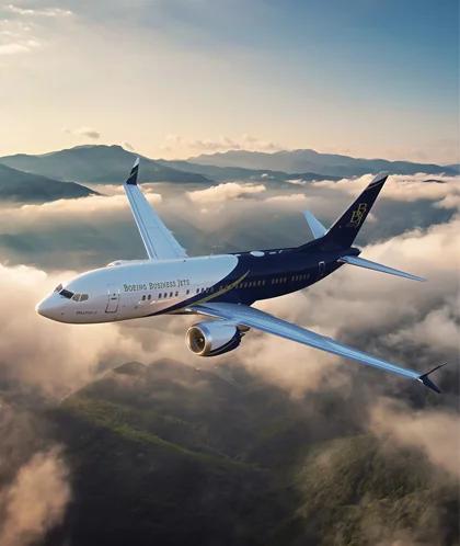 bbj-737-card