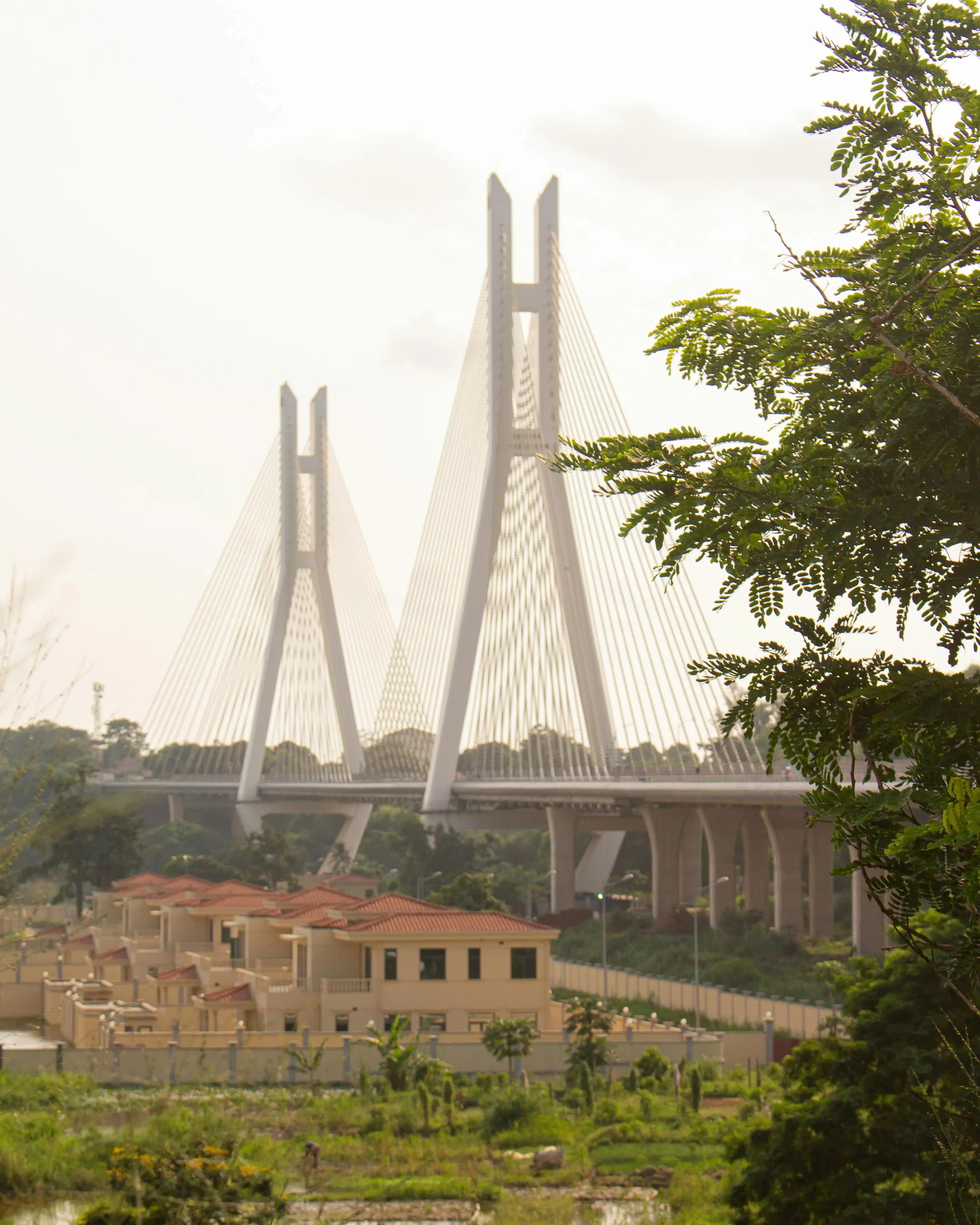 Die Brücke von Brazzaville (La corniche)