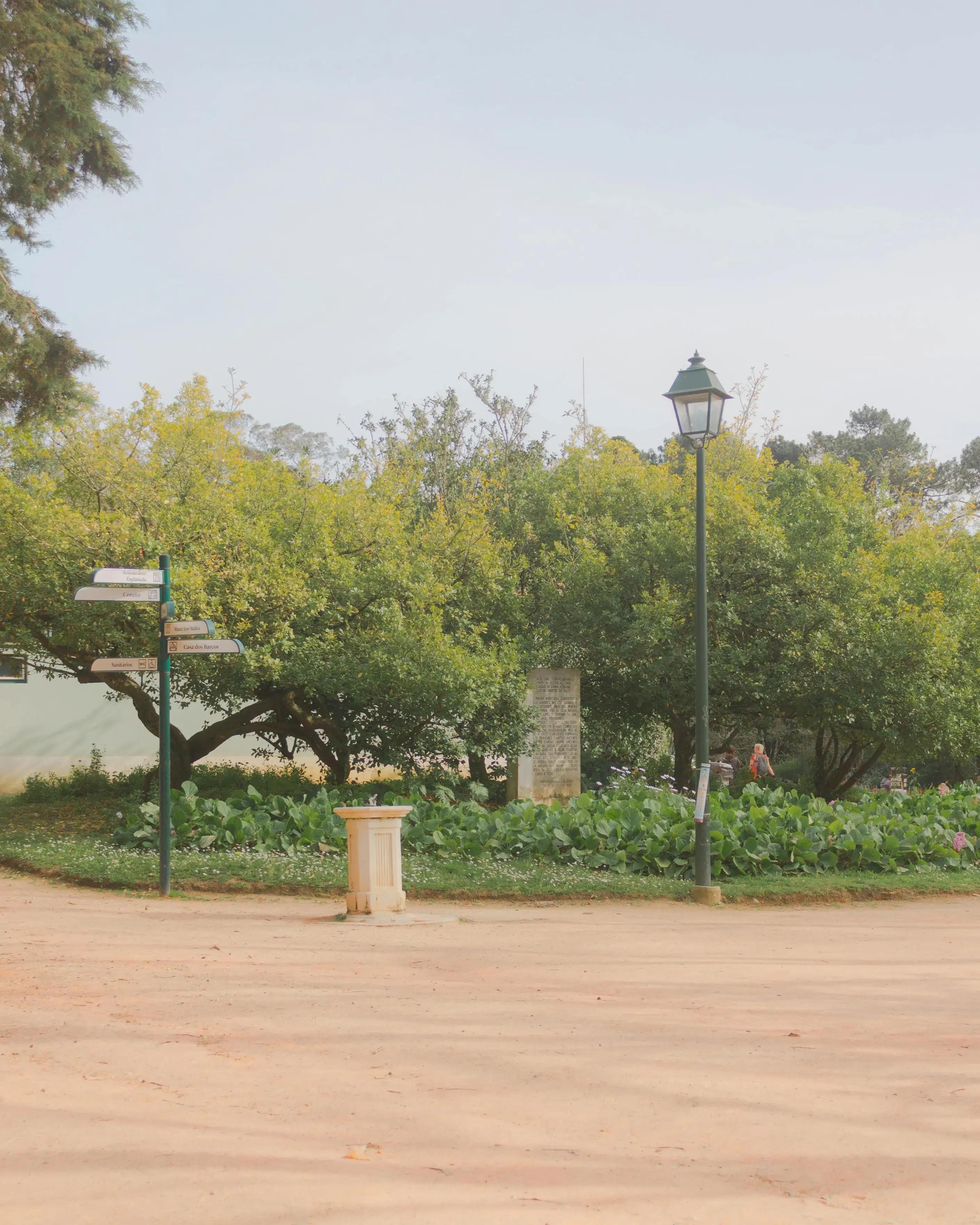 The mystic market place