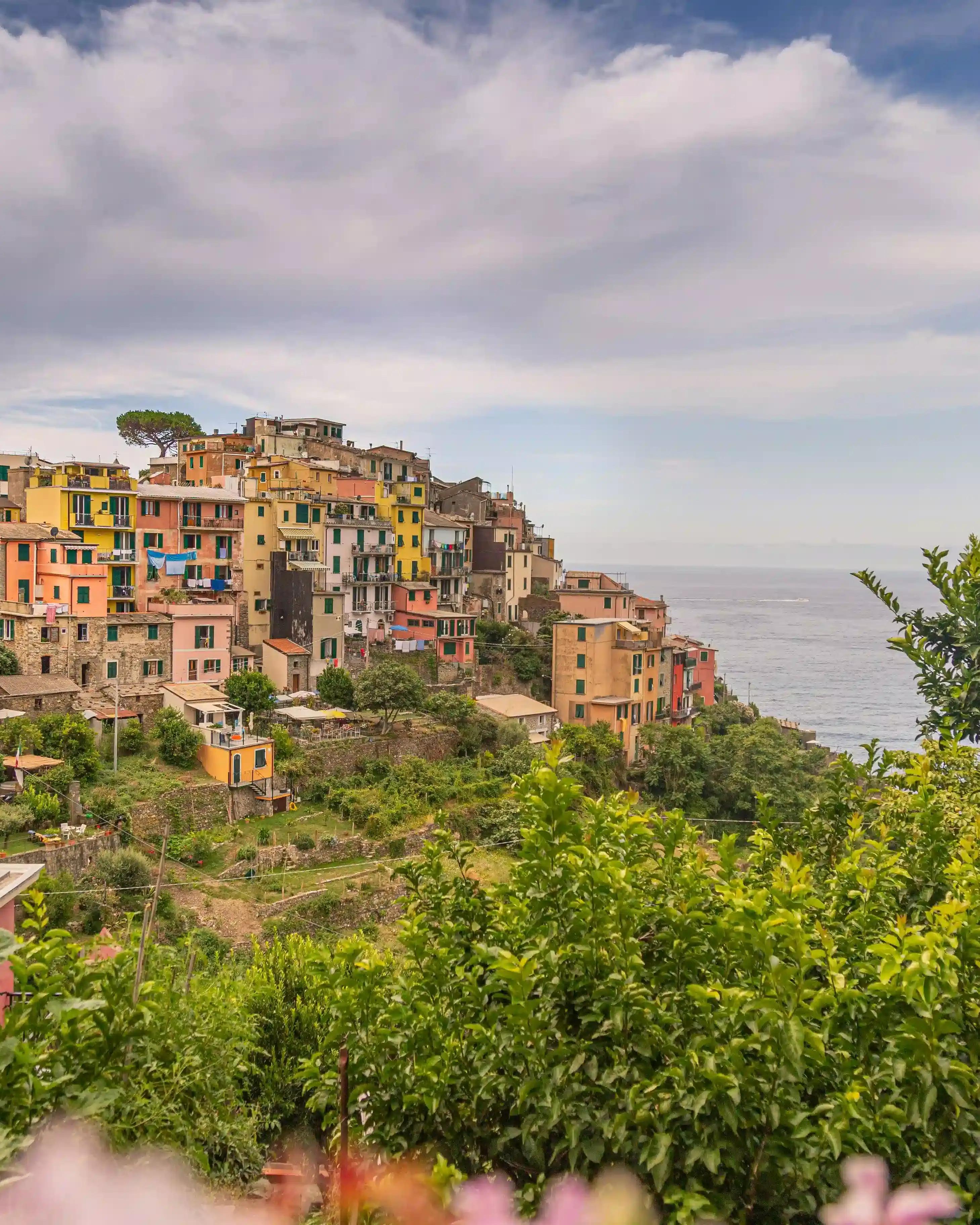 Corniglia's city view