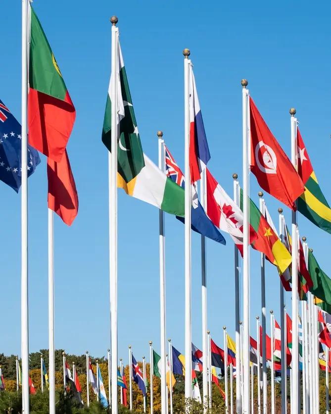 All the flags in the world
