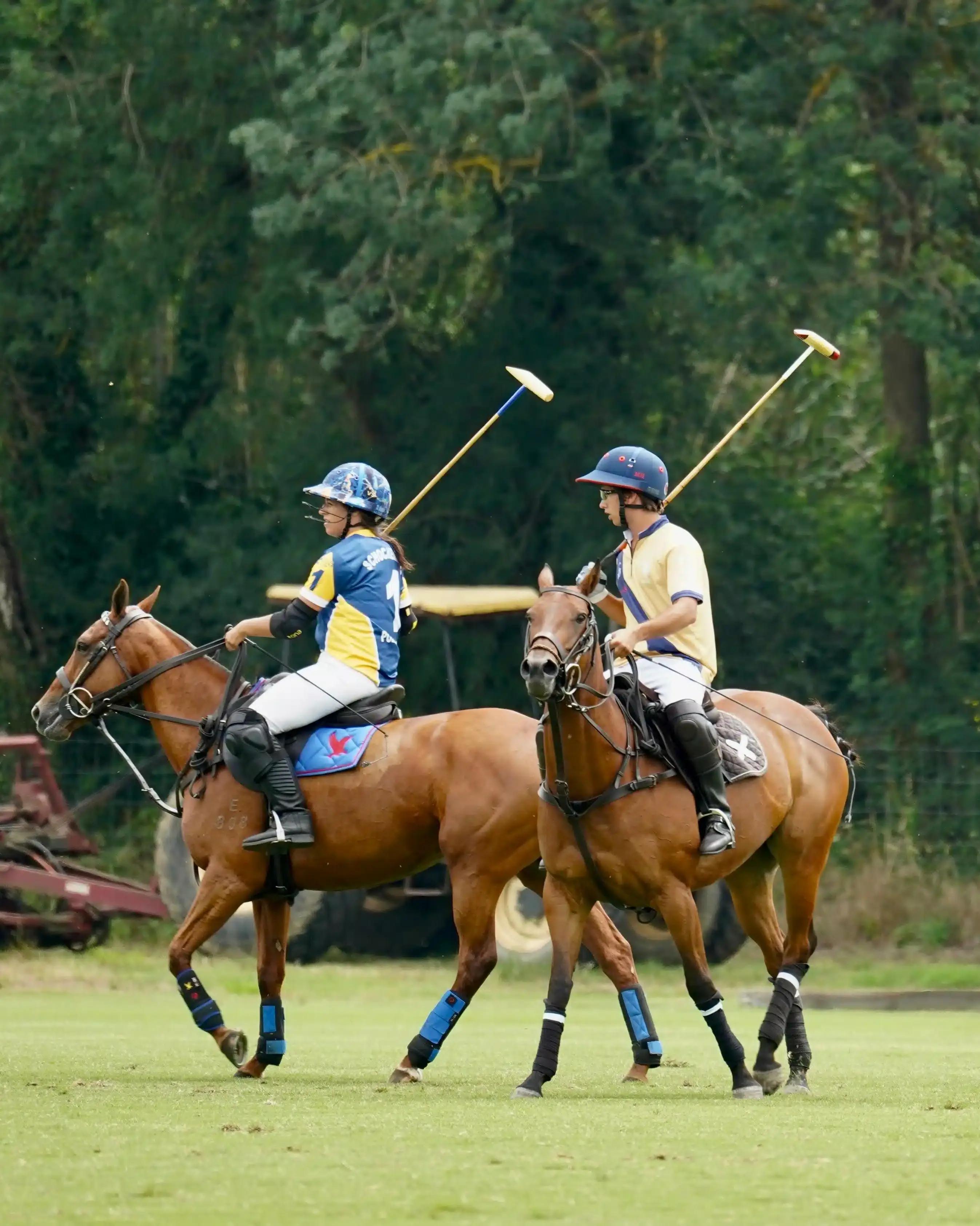 Charter a Private Jet to the Cowdray Gold Cup Final